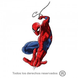 Camiseta spiderman color