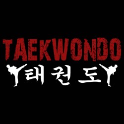Camiseta Taekwondo Mod.2